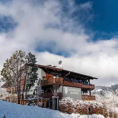 شقة فندقية Erzherzog Johann 4*