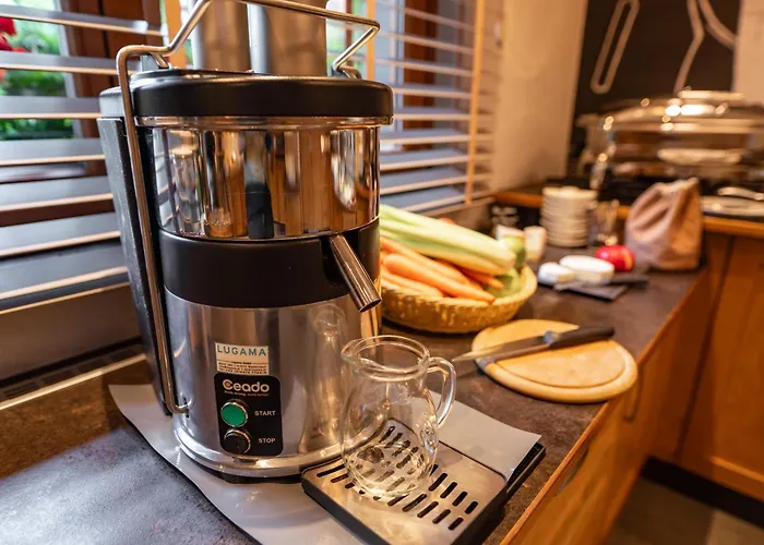 Erzherzog Johann شقة فندقية 4*